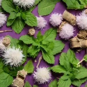 100ml Green Blue Tauren High Quality EDP Citrus Tone Original Perfume Middle East Dubai Arabian Neutral Perfume Gifts